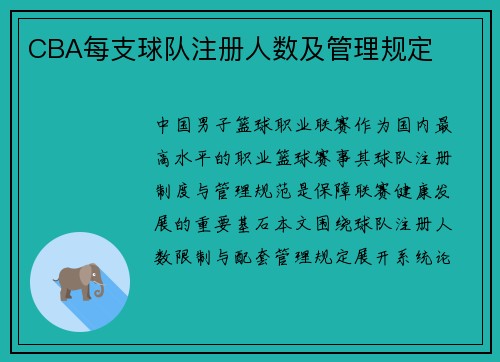 CBA每支球队注册人数及管理规定